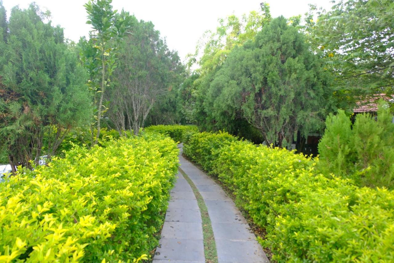 Chalets Resort Masinagudi Ooty Exterior foto